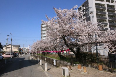 みどり川